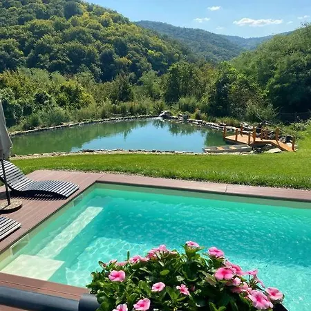 Forrest Relax & וילה *